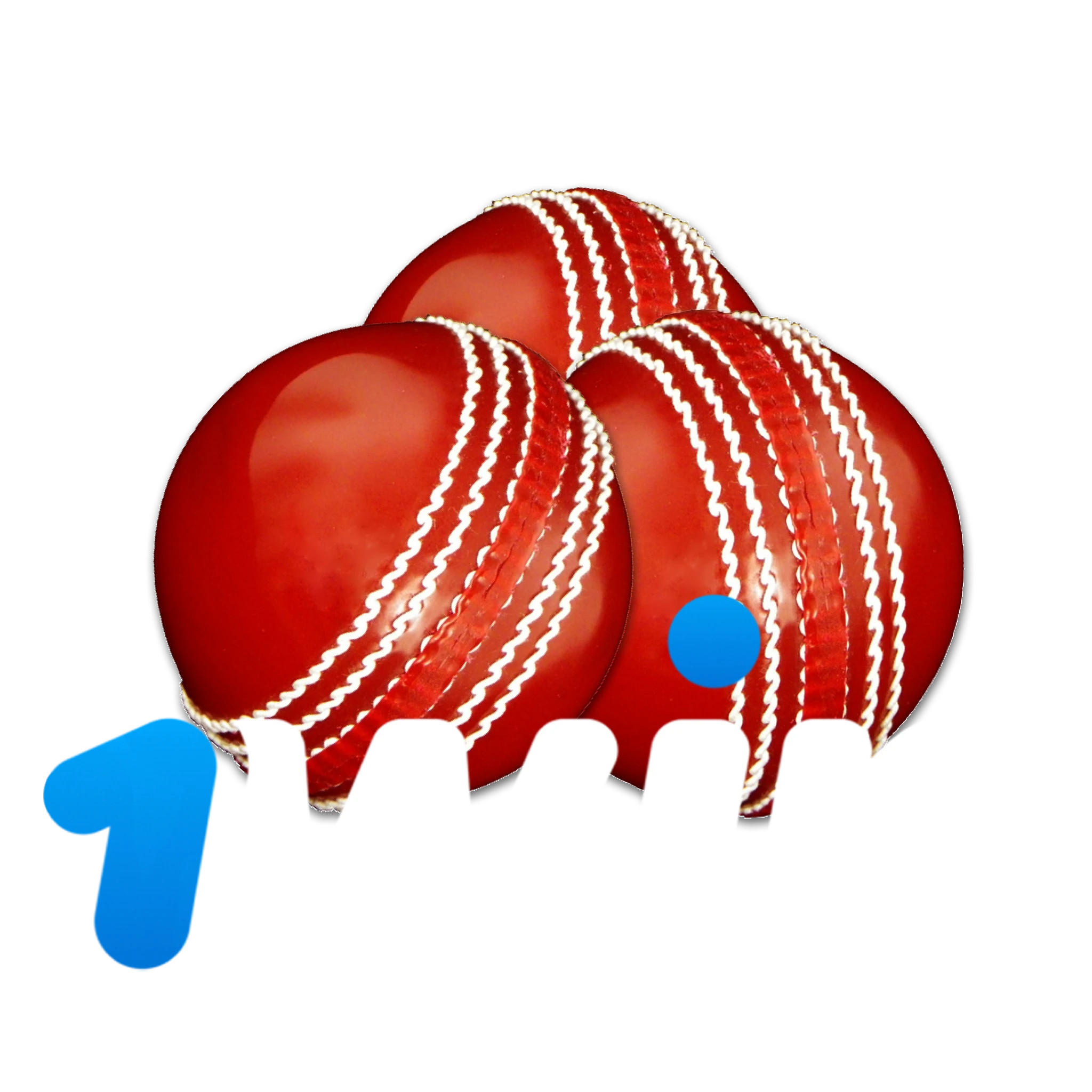 Learn about features provided for cricket betting by 1win.